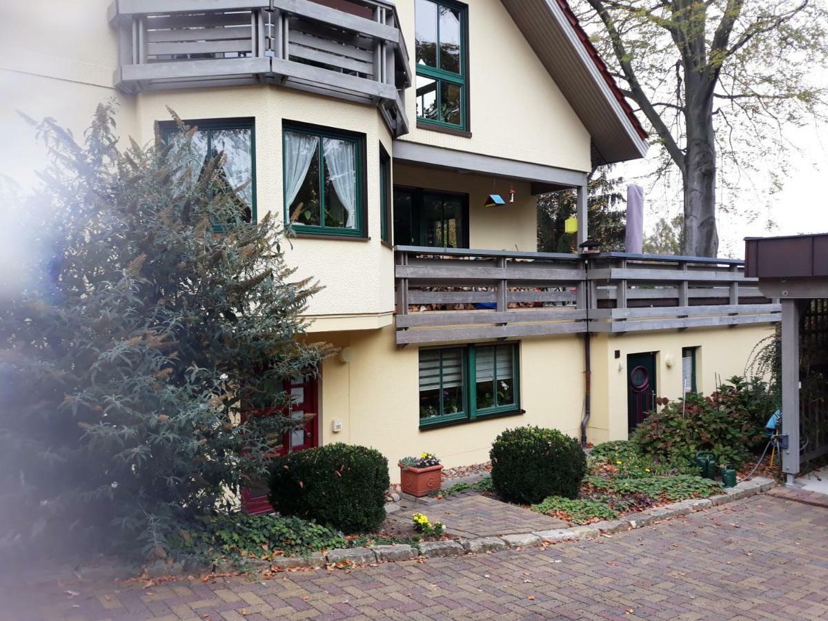 Ferienwohnung Oberloschwitz Dresden Luaran gambar